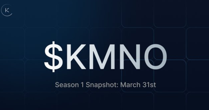 KMNO的市场潜力怎么样？新手用户可以长期持有KMNO币吗？