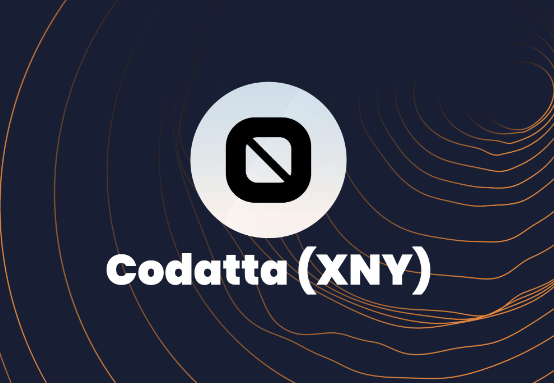 投资XNY币有哪些风险？市场波动与政策因素应如何应对？