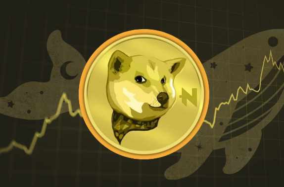 NEIRO币是什么？是否值得投资？应如何评估其风险与潜力？