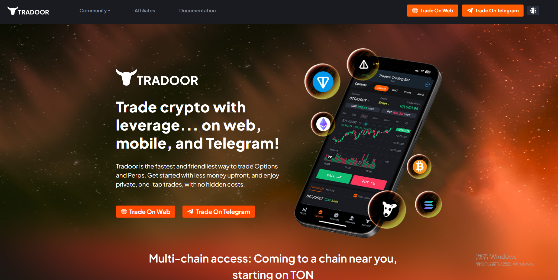 TRADOOR是什么类型的加密货币?其投资价值与发展前景怎么样?