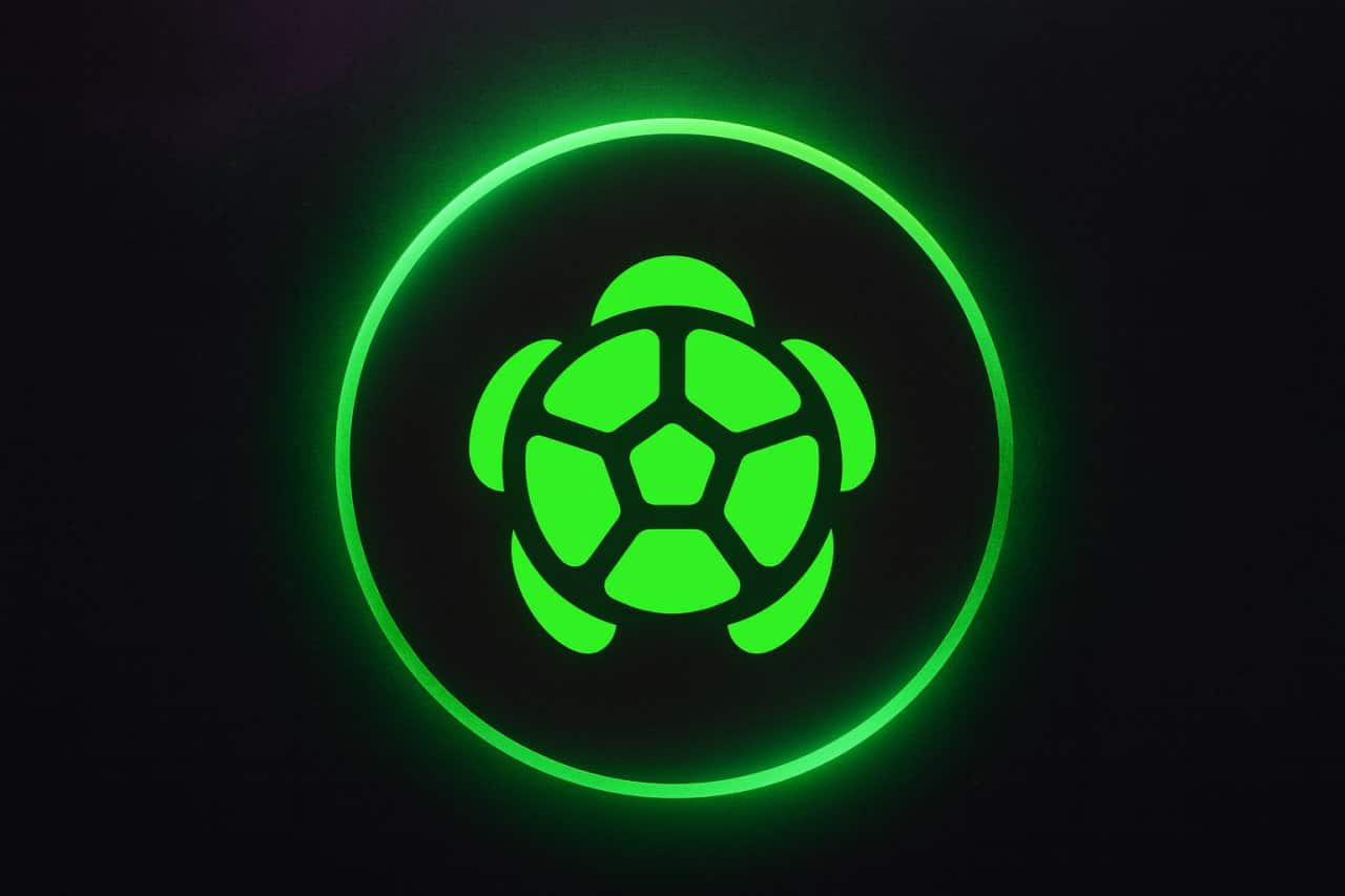 Turtle协议为什么会采用多链策略？这对用户有什么好处？