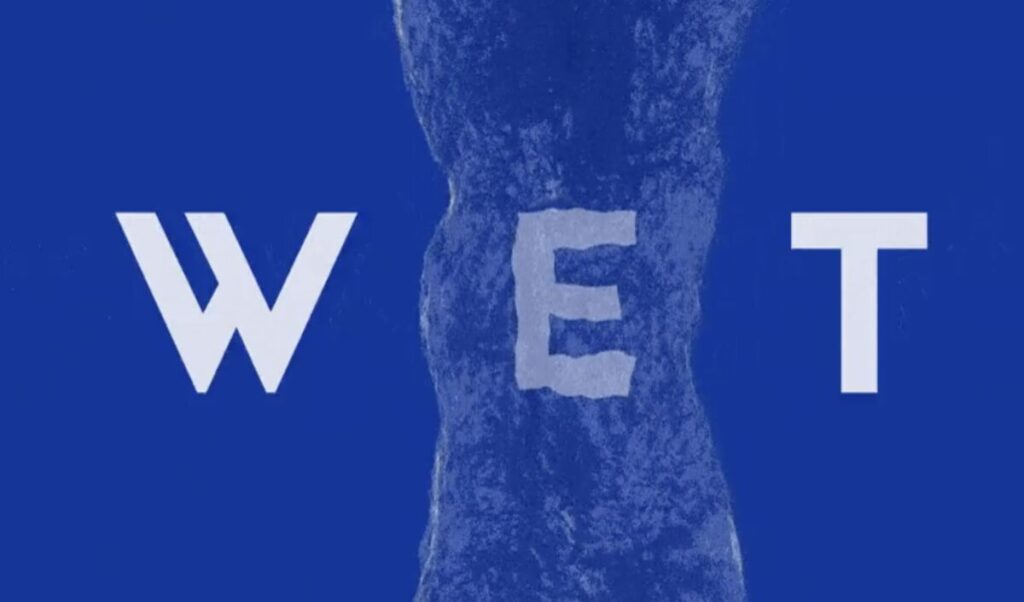 WET币与其他Solana代币有什么不同？在HumidiFi生态中扮演什么角色？