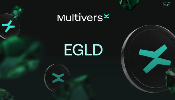 EGLD币值得用户投资吗？它的技术优势和投资风险是什么？