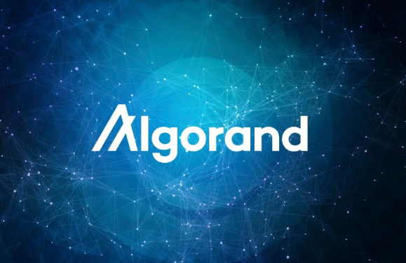 Algorand是由谁创立的？哪些机构支持其生态发展？