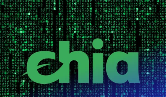 XCH币有哪些主要用途？它在Chia网络中能用来做什么？ 