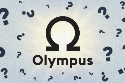Olympus Pro的治理机制是什么？OHM代币持有者的作用是什么？
