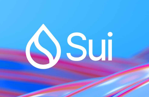 SUI网络安全吗？新手如何购买和存储SUI币？ 