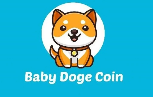 什么是Baby Doge币（BabyDoge）？与狗狗币有什么不同？