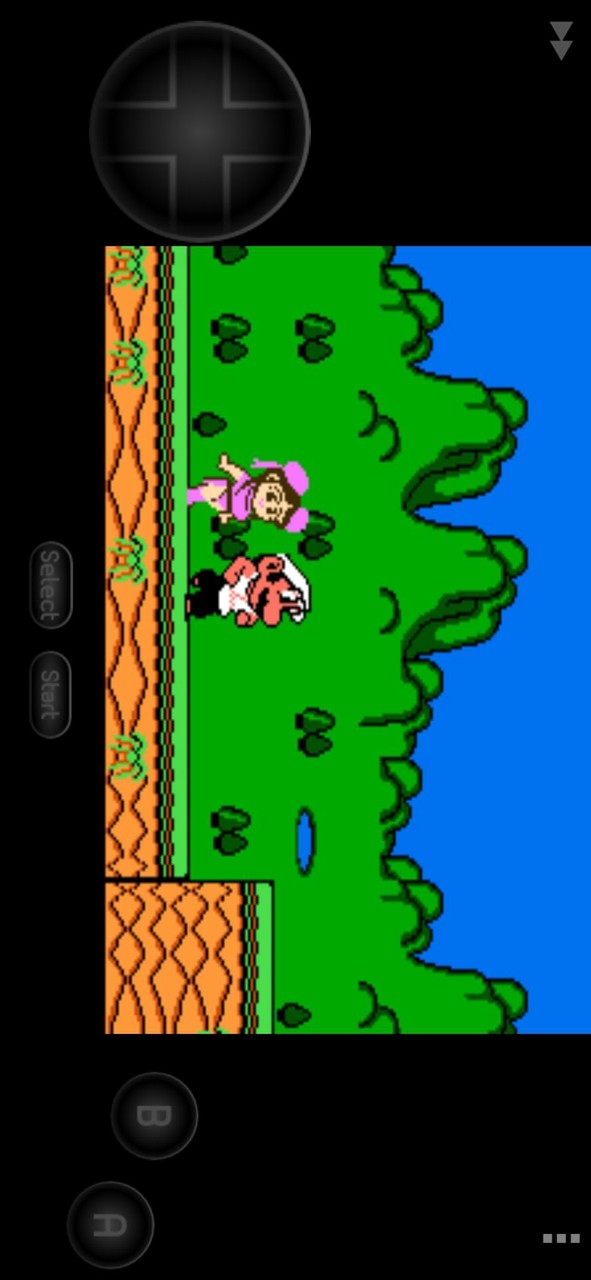 功夫玛丽FC移植版下载 2022.03.30.14 1