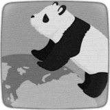 当熊猫转动，地球转动。