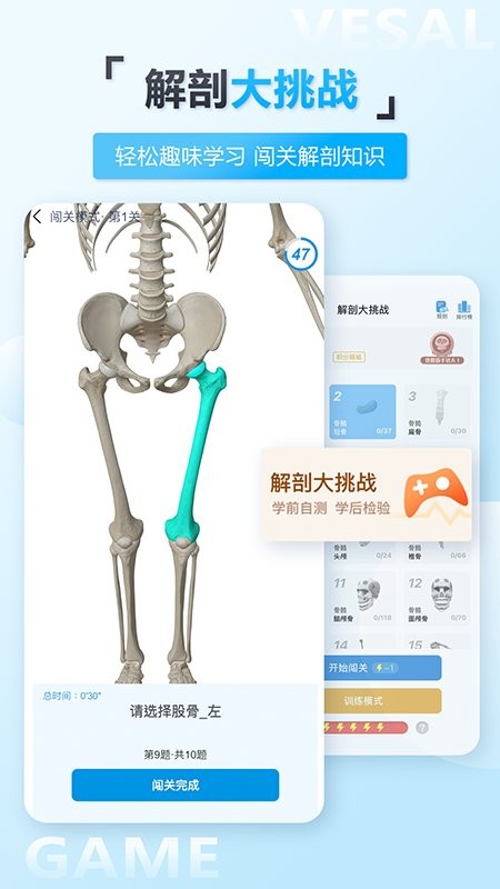 维萨里3d解剖教学下载 v6.9.2 3