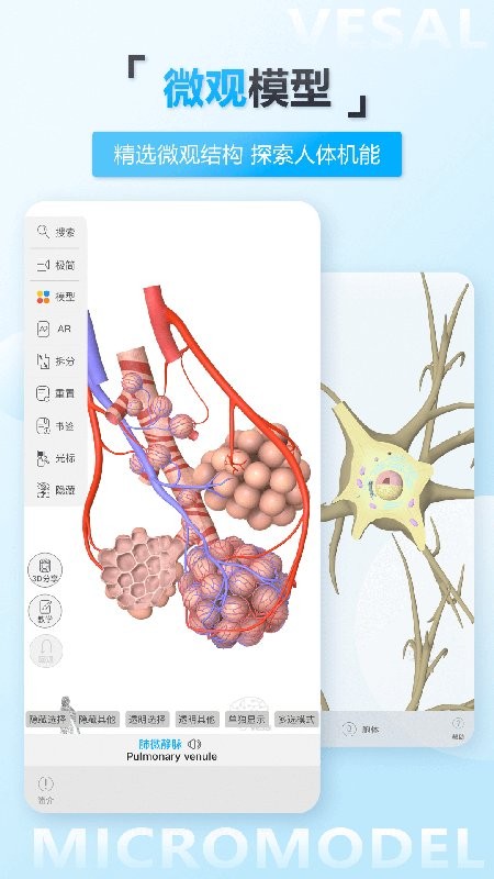 维萨里3d解剖教学下载 v6.9.2 2