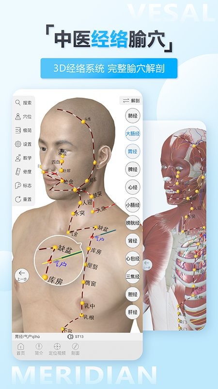 维萨里3d解剖教学下载 v6.9.2 0