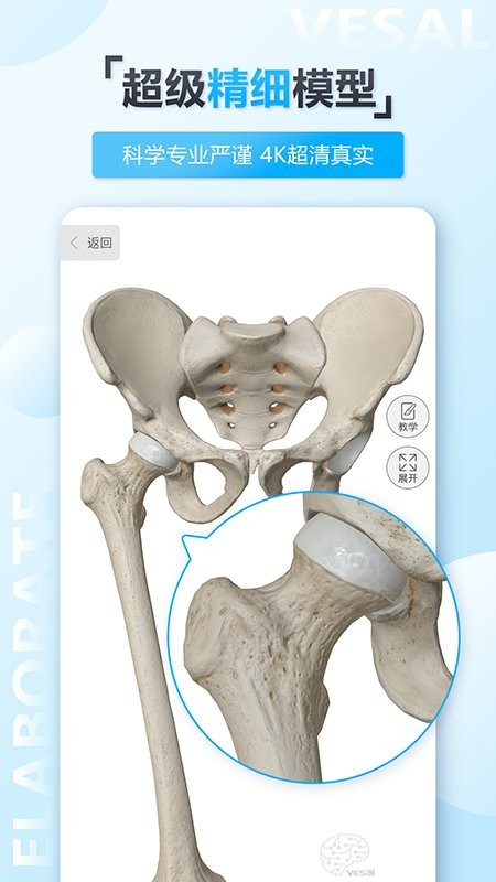 维萨里3d解剖教学下载 v6.9.2 1