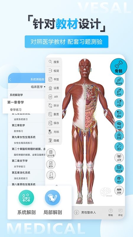 维萨里3d解剖教学下载 v6.9.2 4