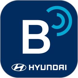 BlueLink