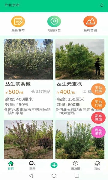 苗木人下载 v6.4.1 1
