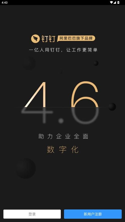 钉钉精简版下载 v4.6.33 0