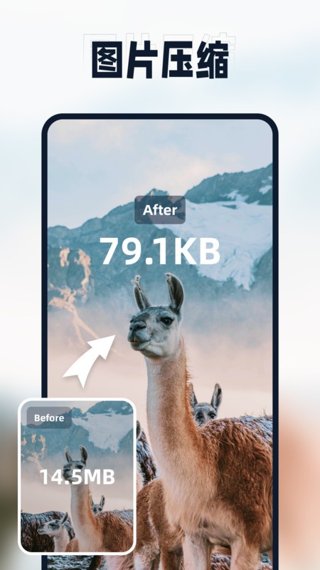 迅捷压缩下载 v2.6.0.0 3