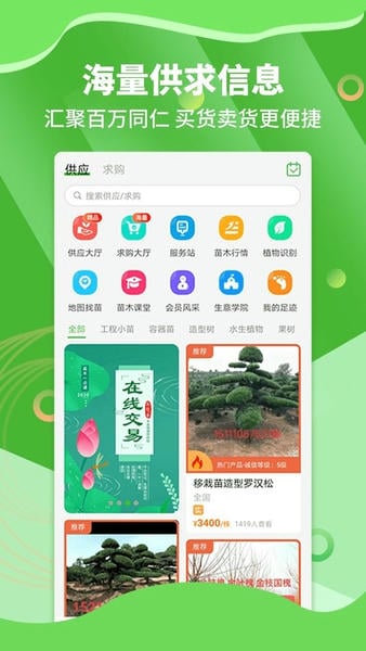 苗木通下载 v6.0.1 0