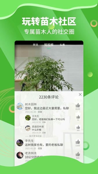 苗木通下载 v6.0.1 2
