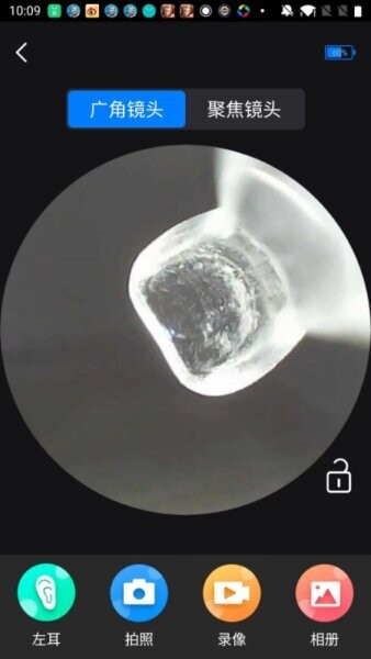 SeekBird下载 v1.3.1 2