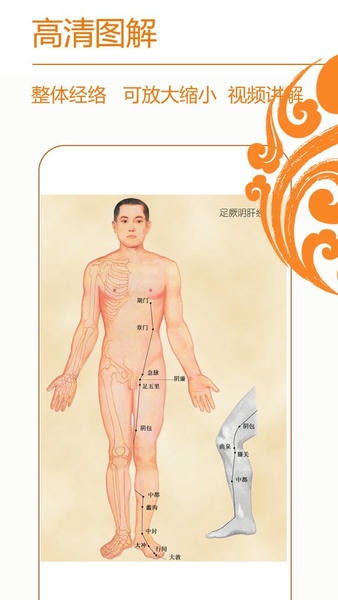经络养生下载 v4.0.3 1