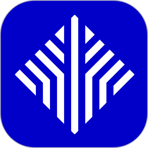 金千枝