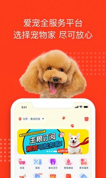 宠物家下载 v5.9.490 2