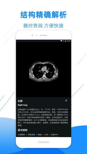 影像解剖图谱下载 v4.5.7 1