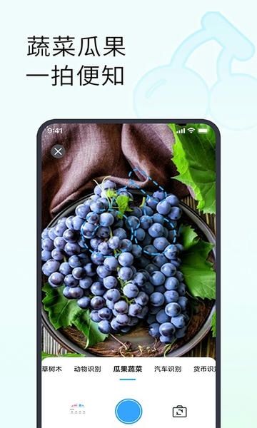 拍照识别植物下载 v1.1.4 2