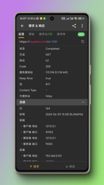 Reqable下载 v3.0.31 4
