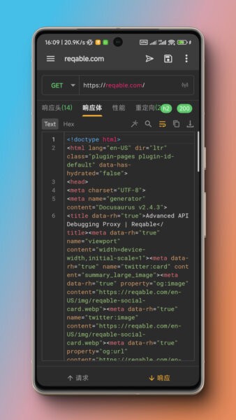 Reqable下载 v3.0.31 1