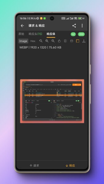 Reqable下载 v3.0.31 2
