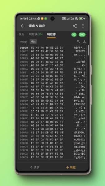 Reqable下载 v3.0.31 0