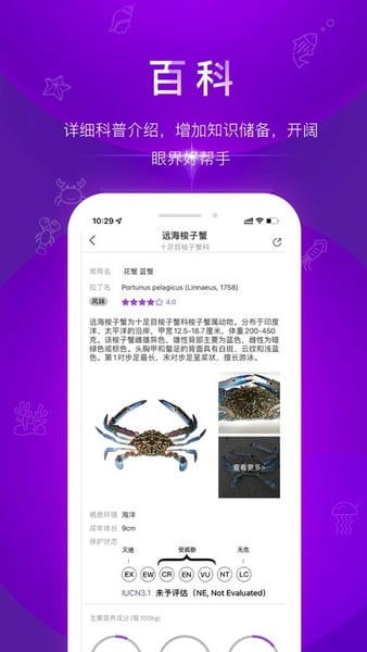 问鱼下载 v3.0.0 0