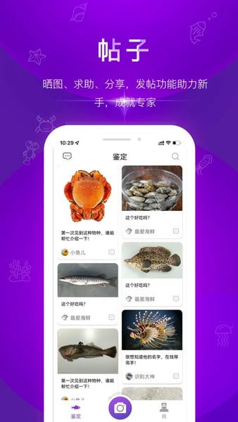 问鱼下载 v3.0.0 2