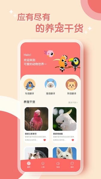 鹦鹉翻译器下载 v2.0.7 0