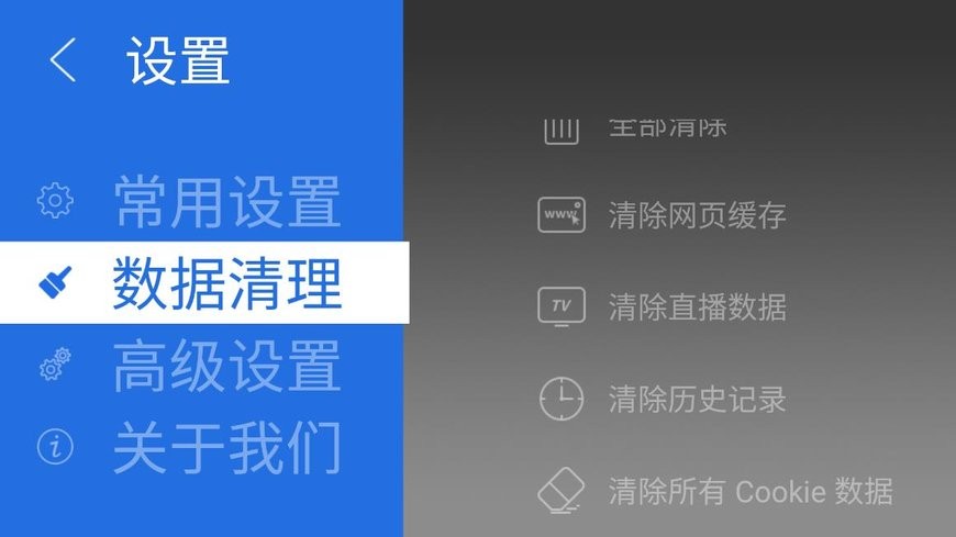 飞视浏览器tv版下载 v4.41 2