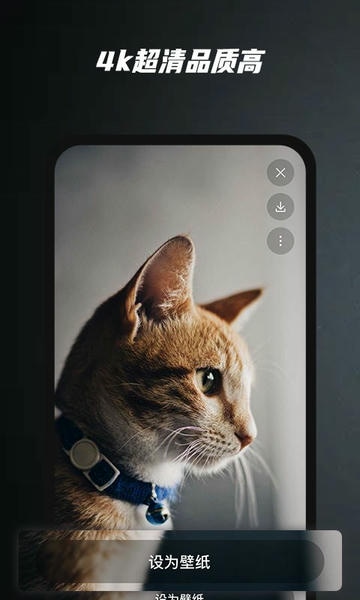 AI壁纸下载 v1.0 0