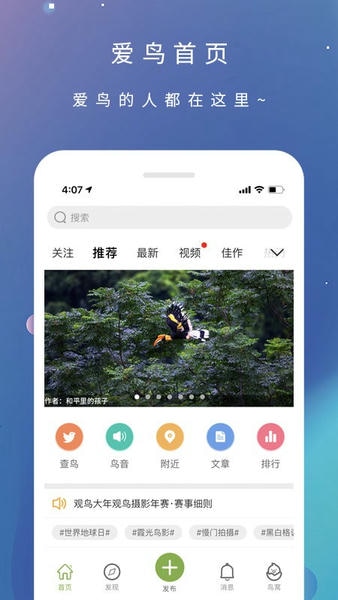 爱鸟下载 v3.6.0 4