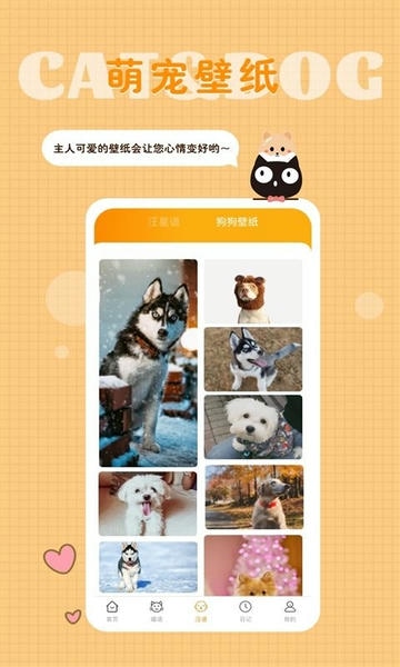 猫语狗语转换器下载 v1.9.6 3