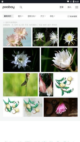 Pixabay下载 v1.2.15.1 0