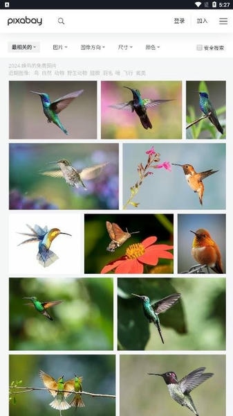 Pixabay下载 v1.2.15.1 1