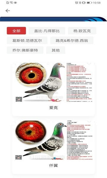 邢小信下载 v6.0.1 0