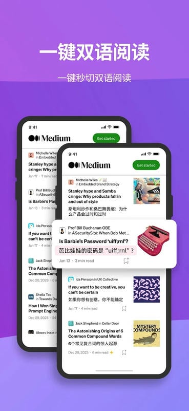 沉浸式翻译下载 v2.5.4 2