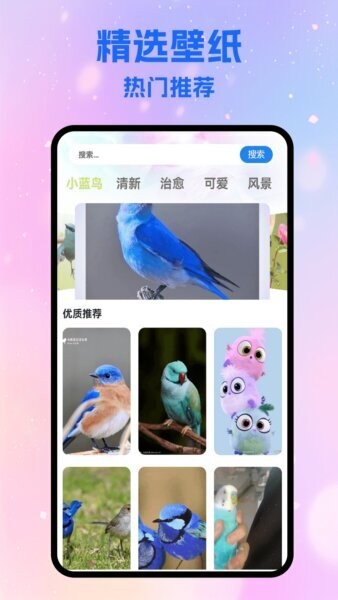 小蓝轻量版下载 v5.1 0