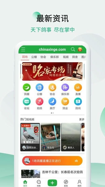 中信网下载 v20260206 0