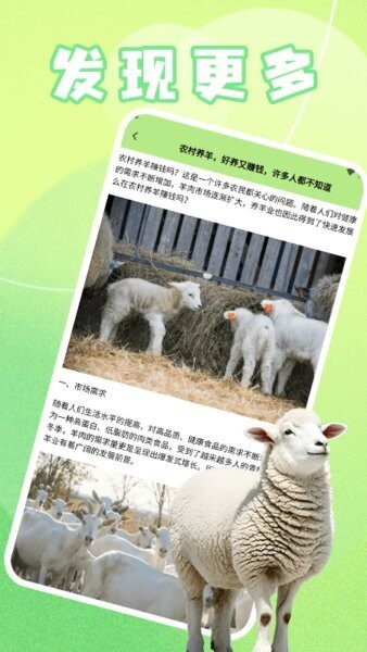 羊羊多福下载 v1.6 3