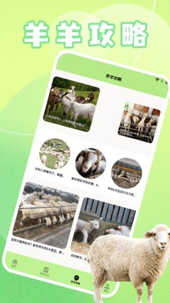 羊羊多福下载 v1.6 1